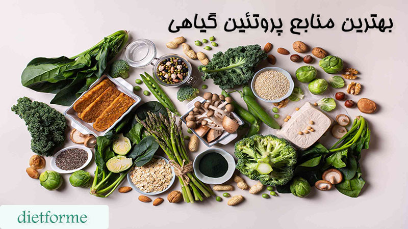 بهترین منابع پروتئین گیاهی